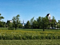 Kirchen und Kommende